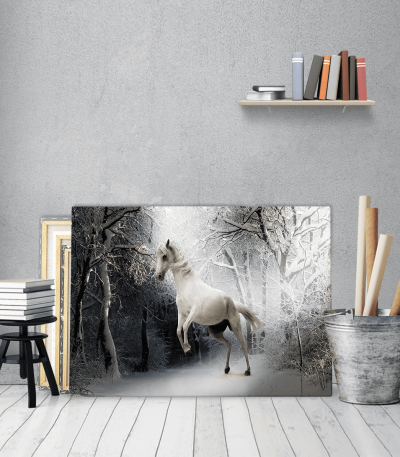 Πίνακας Καμβάς Ασπρο Αλογο - White Snow Horse