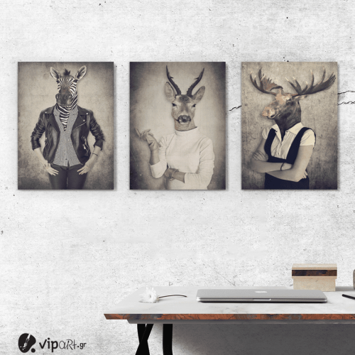 Σύνθεση Με Πίνακες Καμβάδες 30x40 - 3 Τεμάχια - Animal Heads