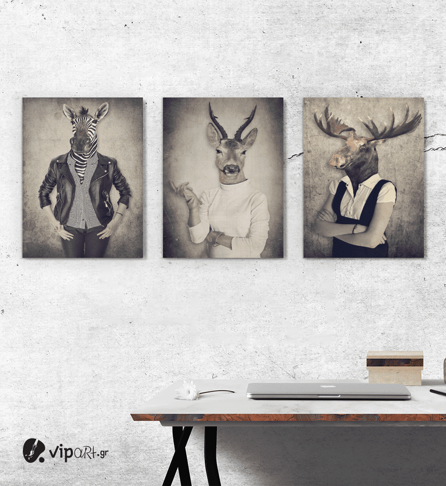 Σύνθεση Με Πίνακες Καμβάδες 30x40 - 3 Τεμάχια - Animal Heads