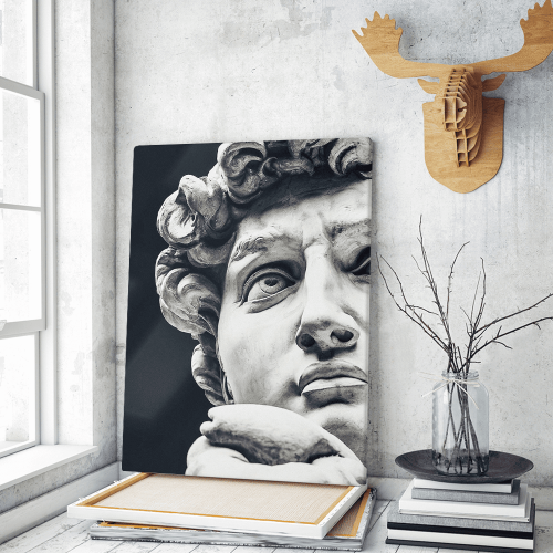 Πίνακας σε Καμβά : Greek Statue Art