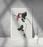 Εκτύπωση σε Αφίσα Χαρτί Floral