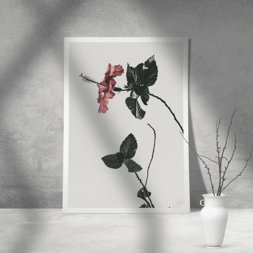 Εκτύπωση σε Αφίσα Χαρτί Floral