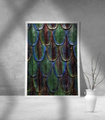 Εκτύπωση σε Αφίσα Χαρτί Dragon Pattern