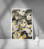 Εκτύπωση σε Αφίσα Χαρτί Daisy