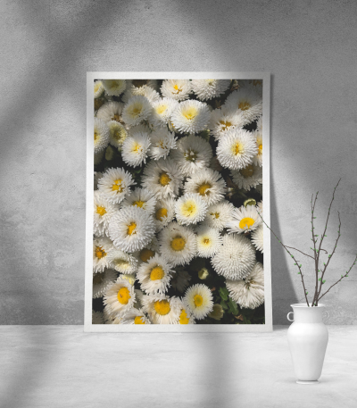 Εκτύπωση σε Αφίσα Χαρτί Daisy