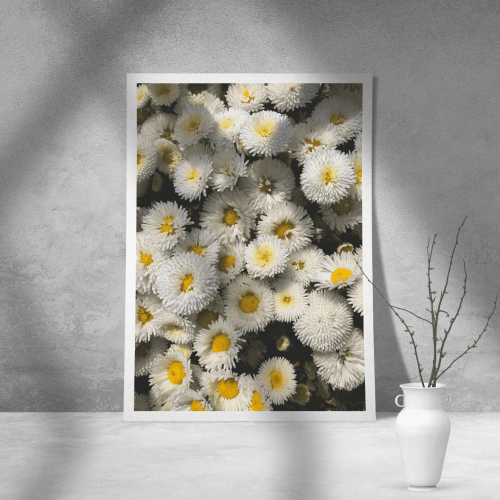 Εκτύπωση σε Αφίσα Χαρτί Daisy