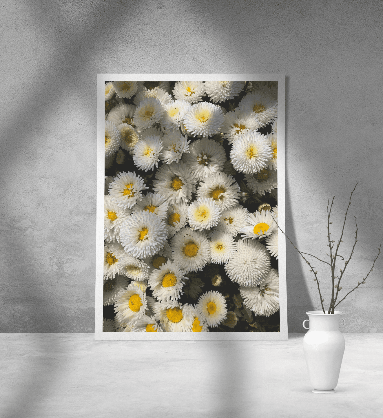 Εκτύπωση σε Αφίσα Χαρτί Daisy Εκτύπωση σε Αφίσα Χαρτί Daisy