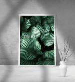 Εκτύπωση σε Αφίσα Χαρτί Green Leafs Poster