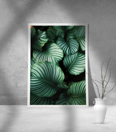 Εκτύπωση σε Αφίσα Χαρτί Green Leafs Poster