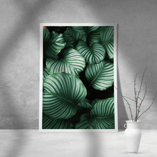 Εκτύπωση σε Αφίσα Χαρτί Green Leafs Poster