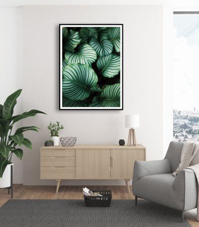 Εκτύπωση σε Αφίσα Χαρτί Green Leafs Poster