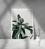 Εκτύπωση σε Αφίσα Χαρτί Minimal Leafs