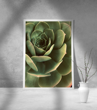 Εκτύπωση σε Αφίσα Χαρτί Green Cactus