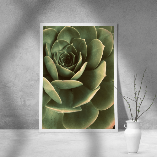 Εκτύπωση σε Αφίσα Χαρτί Green Cactus