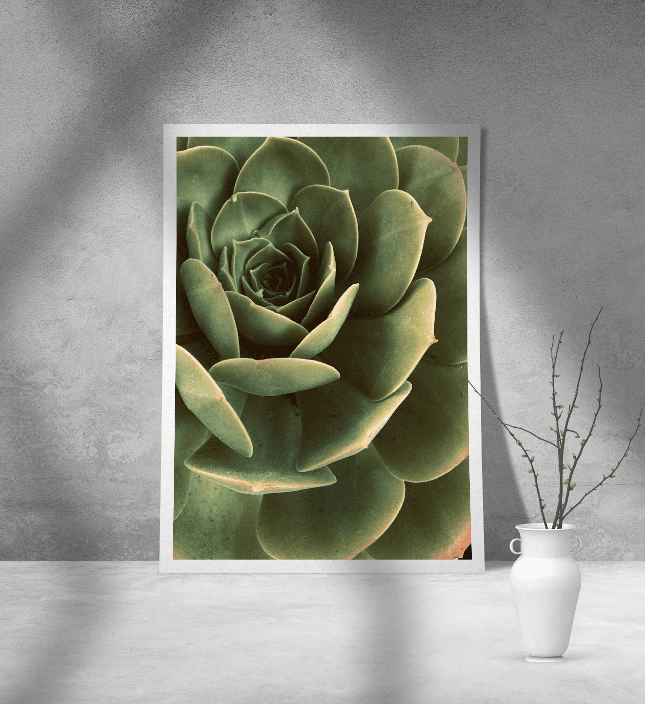 Εκτύπωση σε Αφίσα Χαρτί Green Cactus