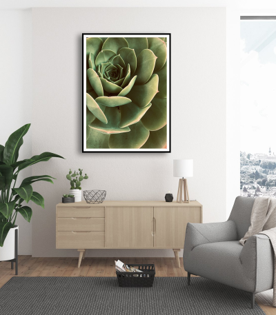 Εκτύπωση σε Αφίσα Χαρτί Green Cactus