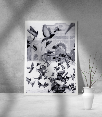 Εκτύπωση σε Αφίσα Χαρτί Black and White Pigeons