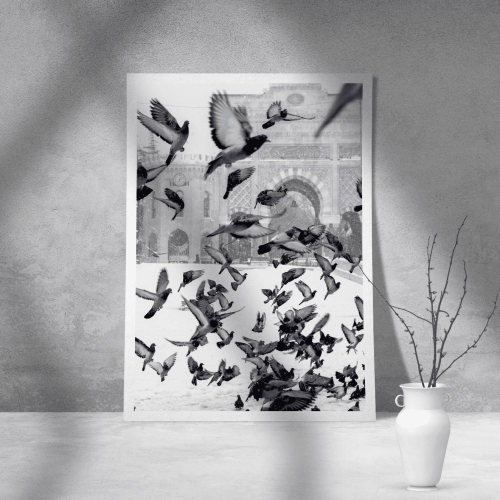 Εκτύπωση σε Αφίσα Χαρτί Black and White Pigeons