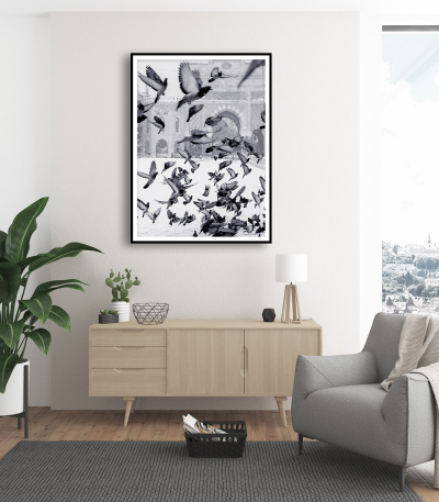 Εκτύπωση σε Αφίσα Χαρτί Black and White Pigeons