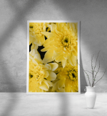 Εκτύπωση σε Αφίσα Χαρτί Yellow Flowers