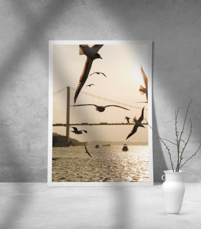 Εκτύπωση σε Αφίσα Χαρτί Gulls