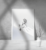 Εκτύπωση σε Αφίσα Χαρτί Minimal Olive Leaves