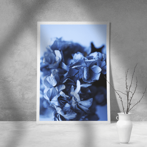 Εκτύπωση σε Αφίσα Χαρτί Blue Flowers
