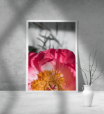 Εκτύπωση σε Αφίσα Χαρτί Flower
