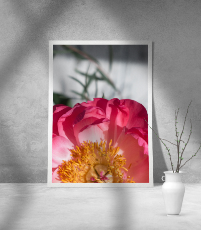 Εκτύπωση σε Αφίσα Χαρτί Flower