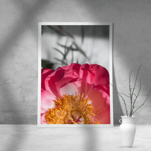 Εκτύπωση σε Αφίσα Χαρτί Flower