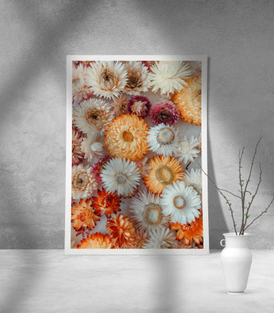Εκτύπωση σε Αφίσα Χαρτί White and Orange Flowers