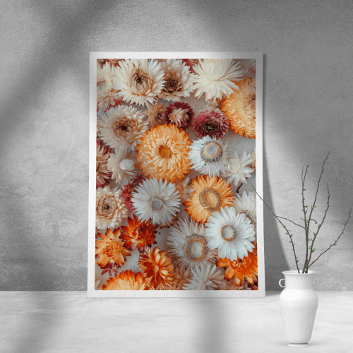 Εκτύπωση σε Αφίσα Χαρτί White and Orange Flowers