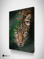 Πίνακας σε Καμβά : Tropical Tiger