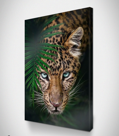 Πίνακας σε Καμβά : Tropical Tiger