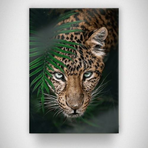 Πίνακας σε Καμβά : Tropical Tiger