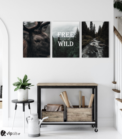 Σύνθεση Με Πίνακες Καμβάδες 30x40 - 3 Τεμάχια - Free & Wild