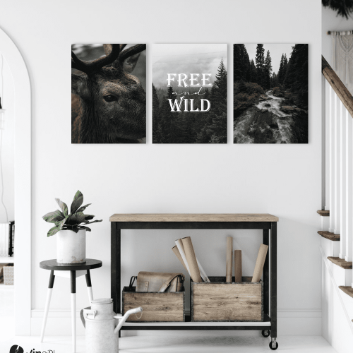 Σύνθεση Με Πίνακες Καμβάδες 30x40 - 3 Τεμάχια - Free & Wild