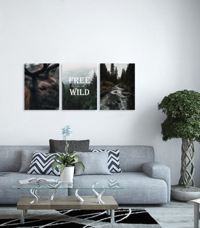 Σύνθεση Με Πίνακες Καμβάδες 30x40 - 3 Τεμάχια - Free & Wild